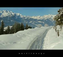 winter walk with panorama view.jpg